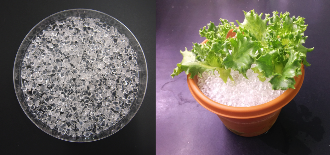 植物栽培用培地Sophiterraを使った研究アイデア募集！（当日参加可能）