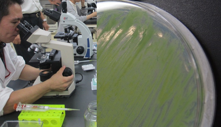 Training for teachers "Challenge to screen useful microorganisms!