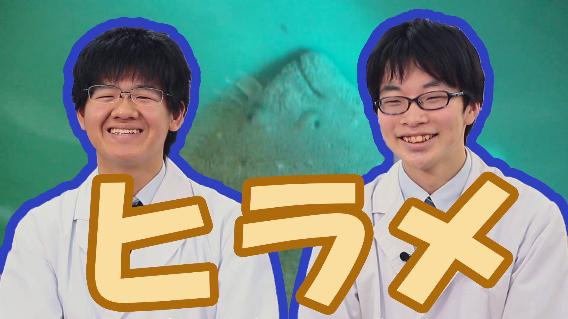 緑色光で3倍速成長するヒラメ生産工場！