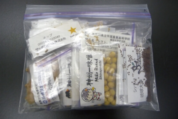 芝が宇宙へ