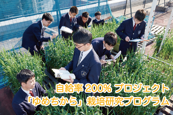 自給率200% プロジェクト「ゆめちから」栽培研究プログラム
