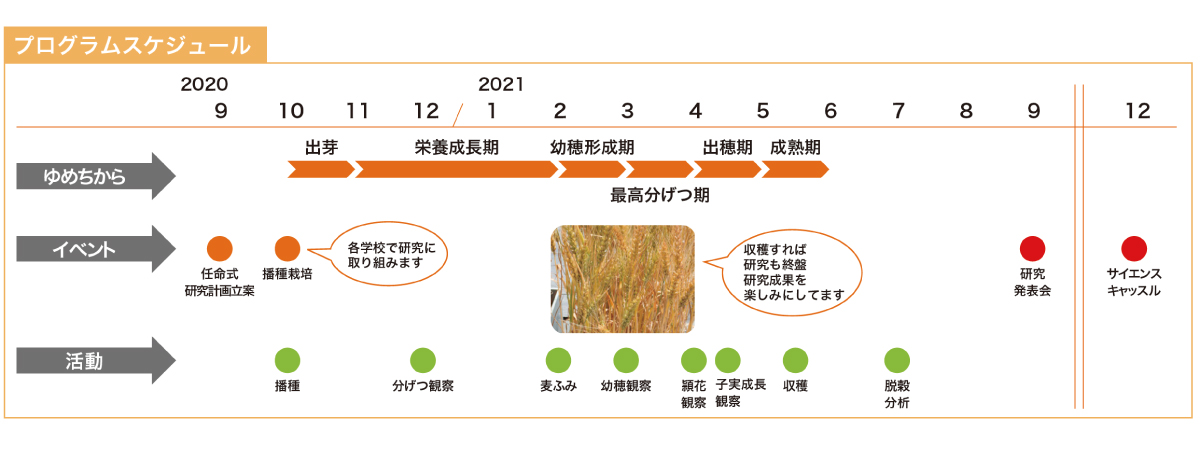 ps003 ps003