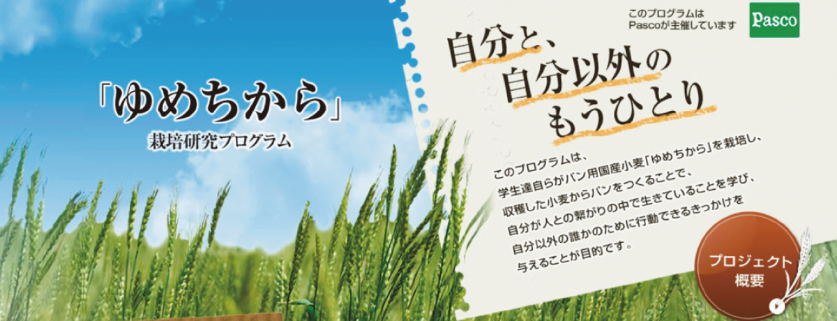 yumetikara
