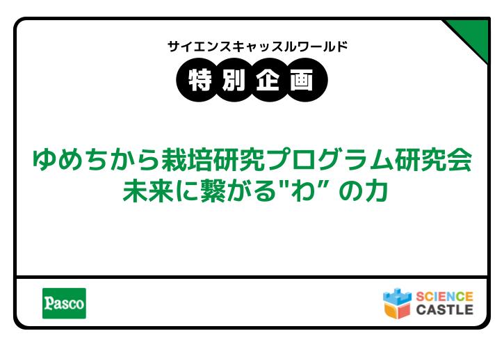 サイエンスキャッスル2025_特別企画参加者募集！「ゆめちから栽培研究プログラム研究会 未来に繋がる”わ” の力」（敷島製パン株式会社）
