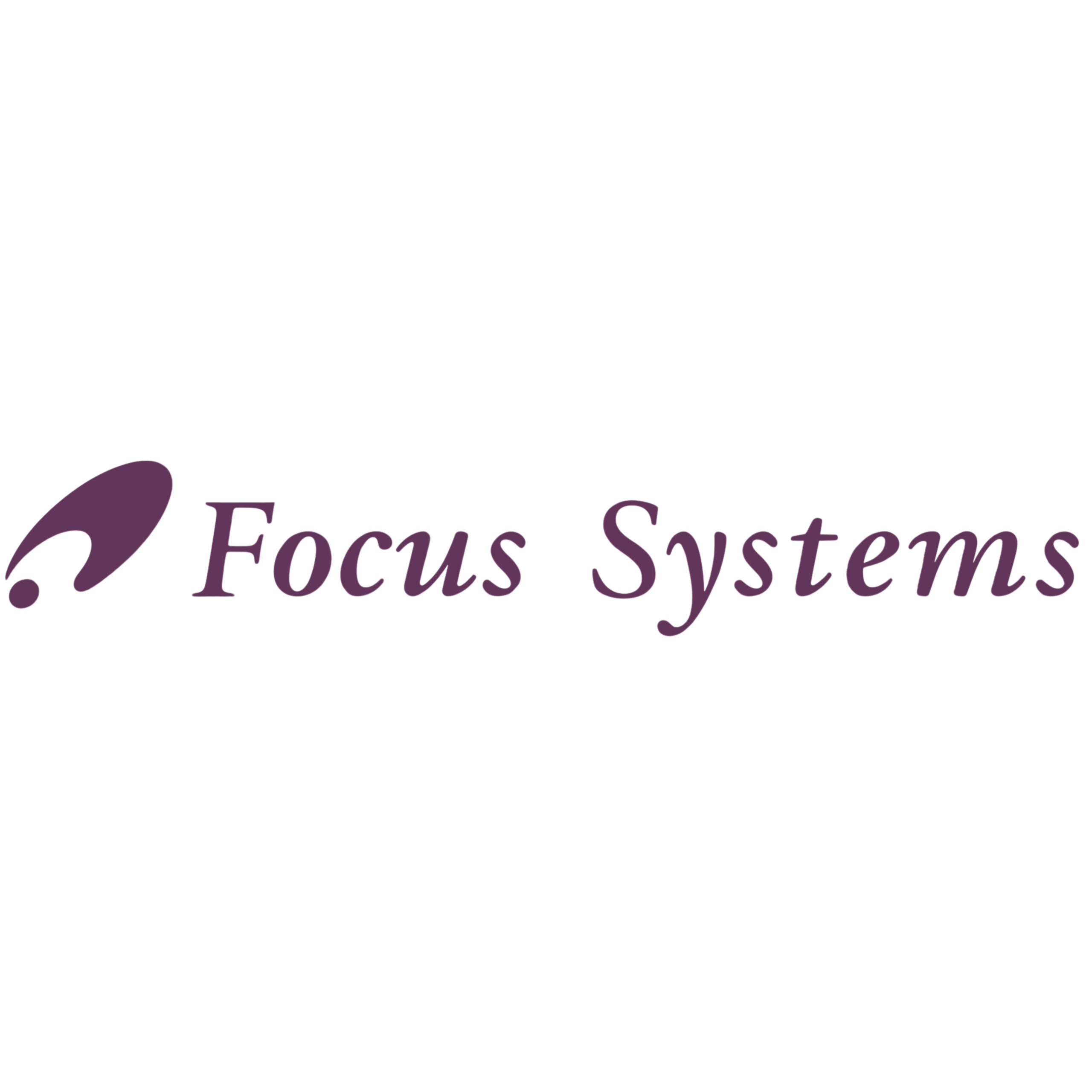 Focus Systems Corporation